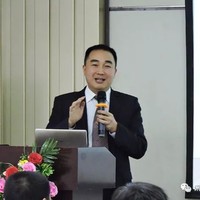 南飞雁