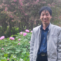 郑明明