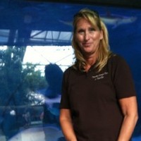 Donna McCarty