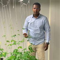 Mohamed Farah Abdulla