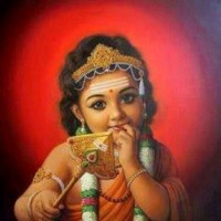 Kavitha N