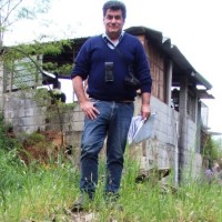 Domenico Palma