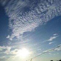 王红星