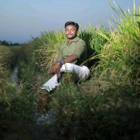Karuku Vel Raj