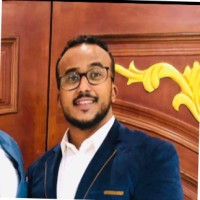 Mohamed Gamal Taha Hamza