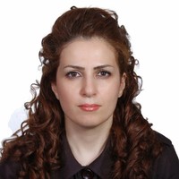 Mehran Mohseni