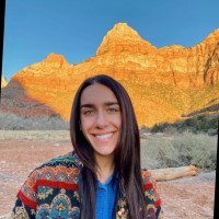 Jessica Leone, Cpa, Cisa