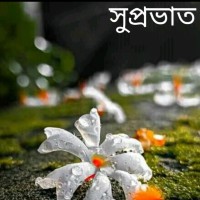 Probin Halder