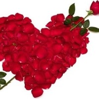 Keerthana M
