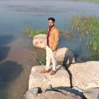 Sonu Verma