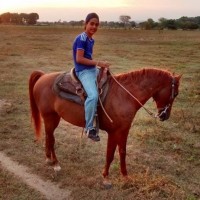 freddy albert ruiz toro