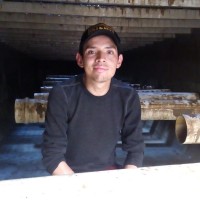 Martin Alfonso Vargas Vega