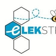 E- Lekstroom