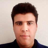 Mehdi Kamel Berkane