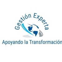 Gestión Experta