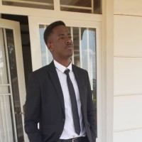 David Bay