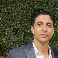 Hesham Ali