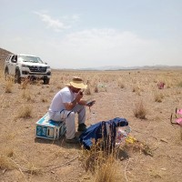 Saeid Jamshidi Taghabi