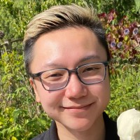 David Hui