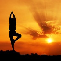 Mindful-Yoga Studio
