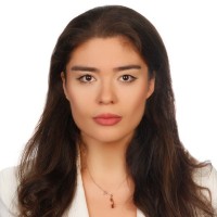 Meltem Nergiz