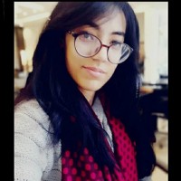 Areeba Rajpoot