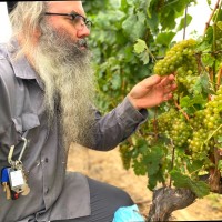Avraham Gislason