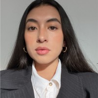 Diana Laura Pérez Berzunza