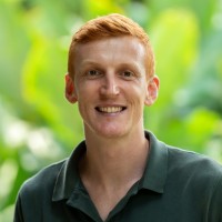 Robert Storey