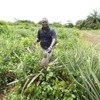 Musa Tholley