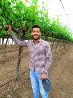 Ahmed Mabrouk