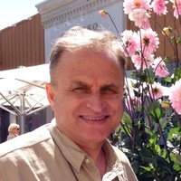 Mohammad Mostafavi
