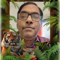 Amal Kumar