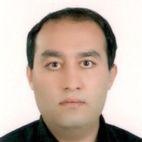 sina najarzadeh