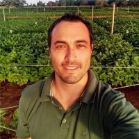 Prof. Efrain Santana
