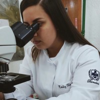 Emily Aparecida Klaus da Silva