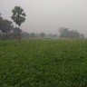 Prakash Kumar