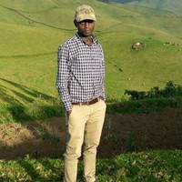 Surveyor. IRANKUNDA Moise