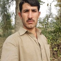 Naveed Bacha
