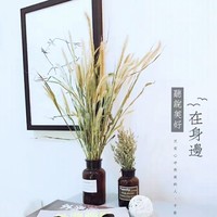 袁静静