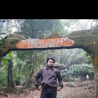 Ardhyan Wibisono