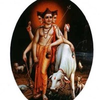 Vaishali Yadav