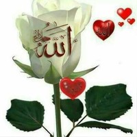 Yasir Mehmood