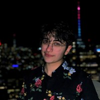 Phoenix Bedros