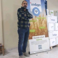Cesur Toprak