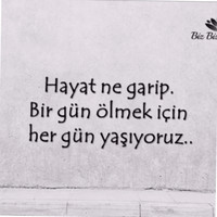 Levent Duman