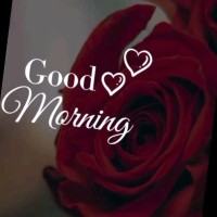 Jamil Abbas