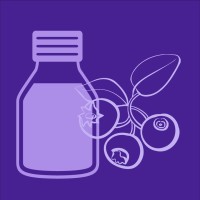 Antioxidants Mdpi