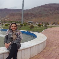 Vahideh Elhami