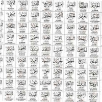 SYED MOHAMMAD BURHAN HUNAIN